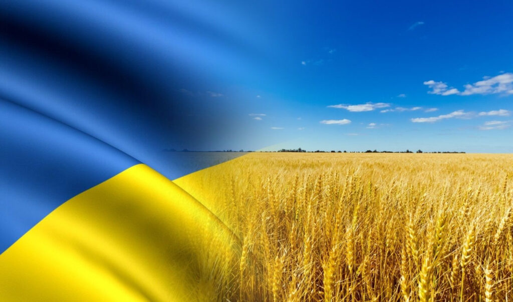дивні закони України після незалежності
