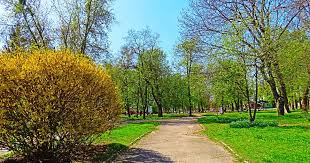 народні прикмети 7 травня погода та літо